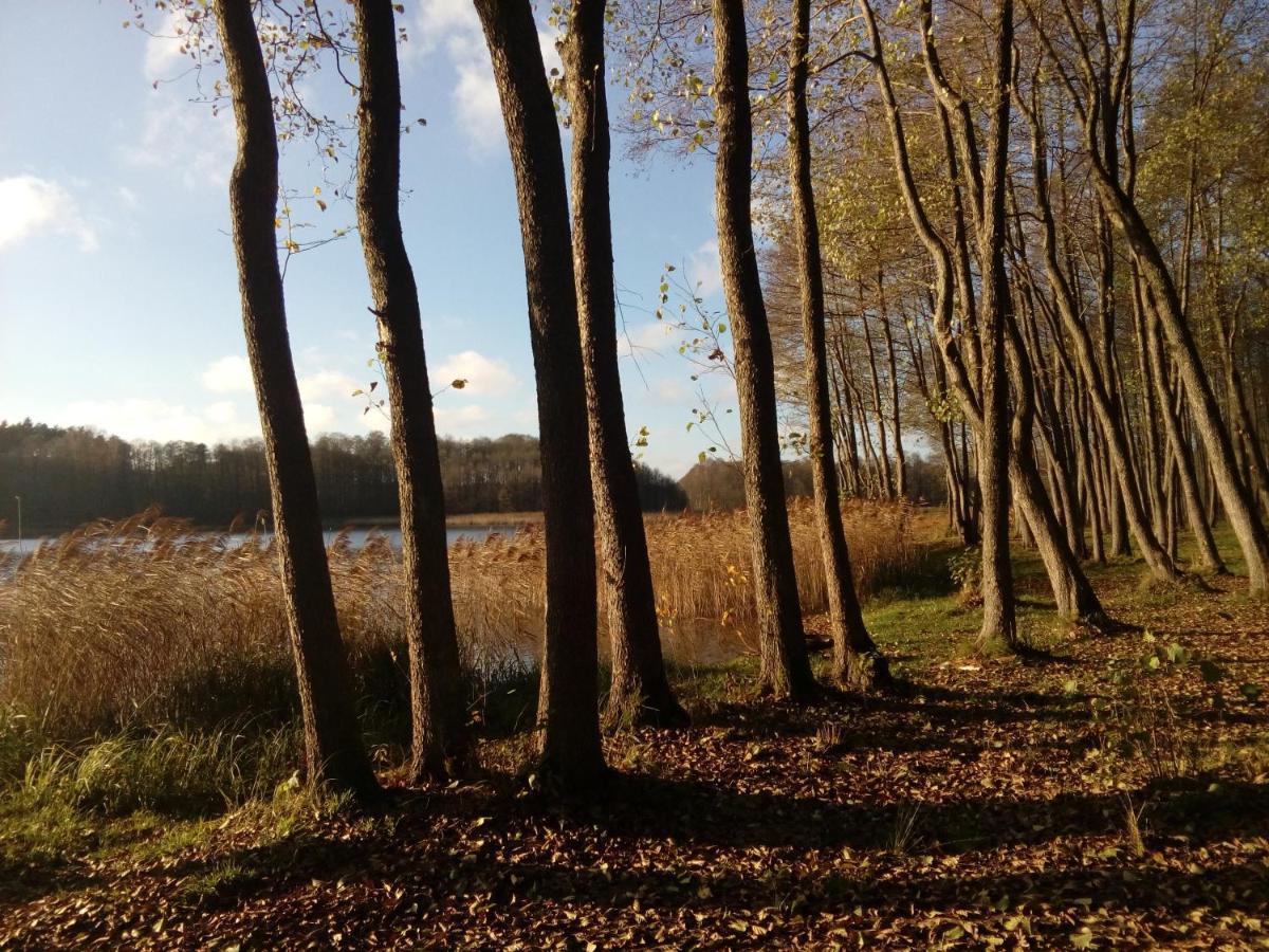 Domki Wczasowe Mazury - Ferienhaus Masuren - Do 12 Osob - Idealny Dla Grup Dluzek Eksteriør bilde